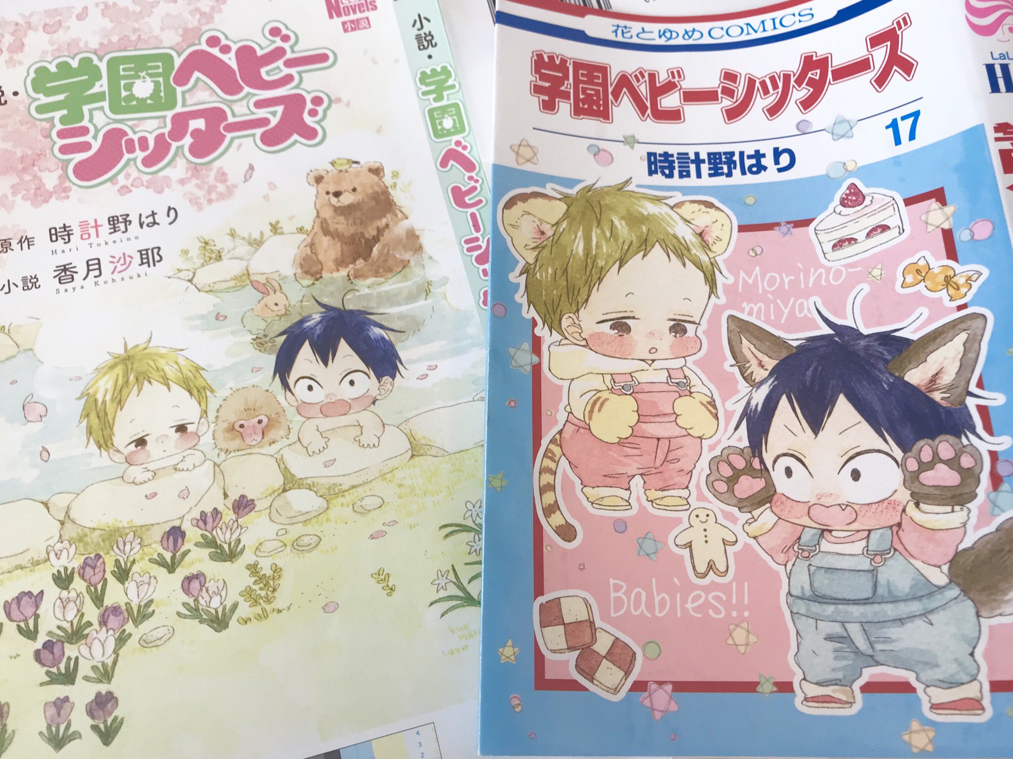 時計野はり そして3月5日に17巻と初めてのノベライズ 小説 学園ベビーシッターズ が出ます 17巻の特装版はサンリオコラボトート付きです それぞれよろしくお願いします あ どっちも表紙が虎太郎と鷹ですね 小説版の裏表紙には双子と小さく奇凛ちゃん