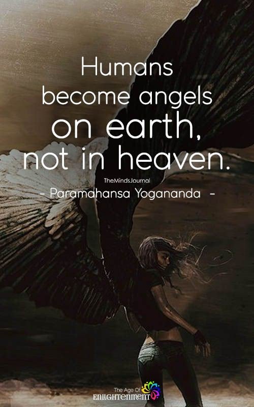 Ndang Sugiharto En Twitter Humans Become Angels On Earth