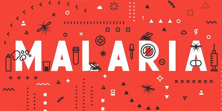 KitchenPanacea's tweet image. Try These Simple Natural Treatments for #Malaria, How to Treat Malaria, visit here: goo.gl/hTTUCC
#MalariaTreatments
#NaturalTreatments
#NaturalHomeMedicines
#NaturalRemedies
#KitchenPanacea