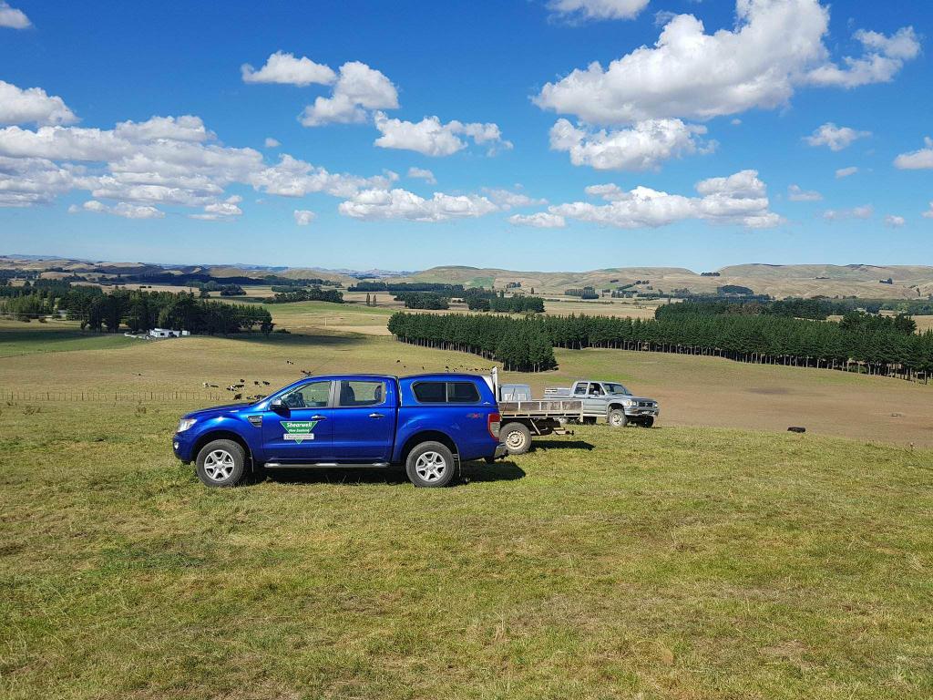 AldworthDaniel's tweet photo. @ShearwellNZ Getting out there in the region's. Takapau Dog Trial Club, Hawked Bay centre champs.
#shearwell #sheep365 # Dogtrials https://t.co/ilFHB7Bk8E