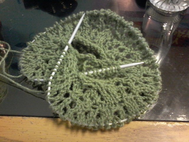 green and lacy, has somehow curved nautilus-like around on itself