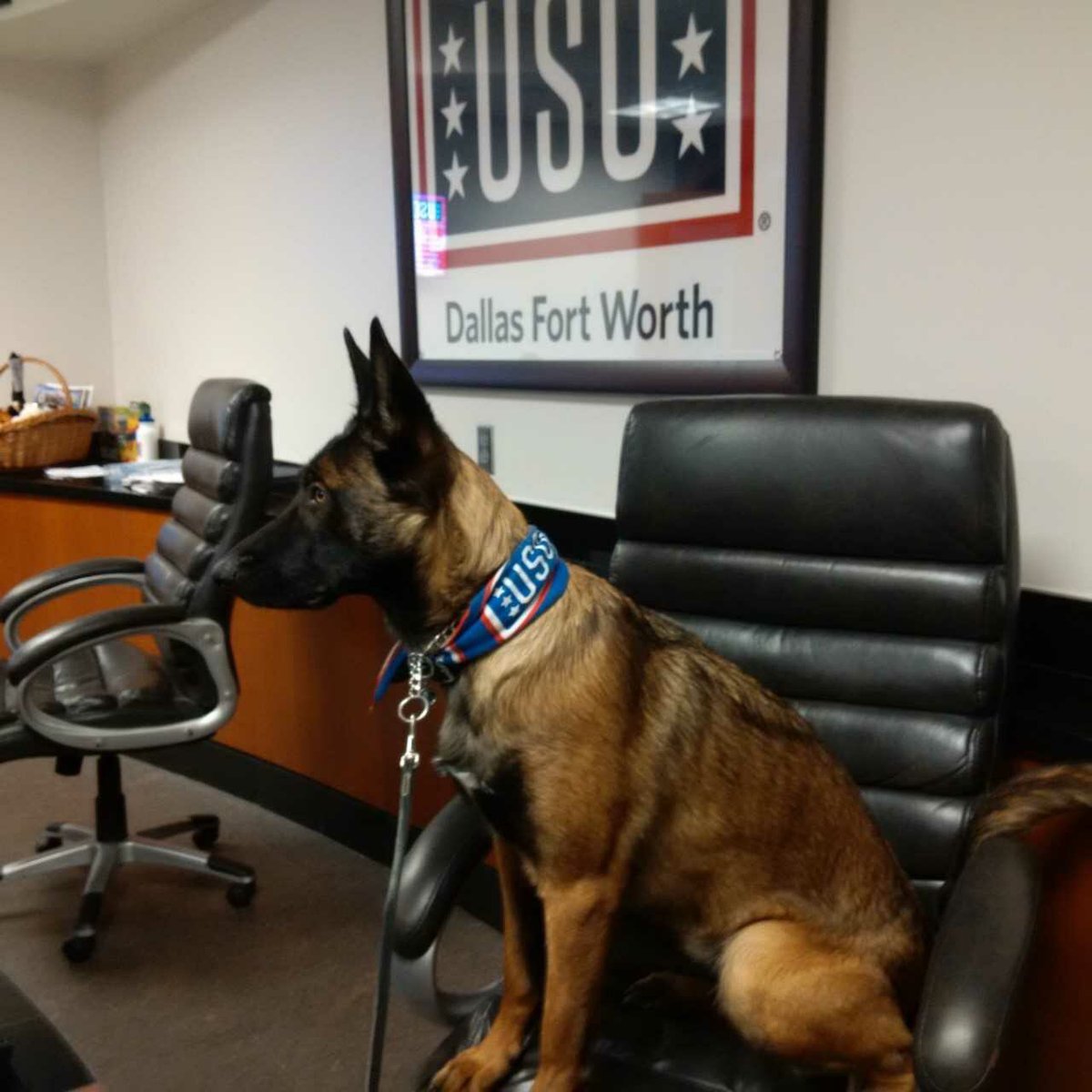 uso dfw on twitter special thanks to uso dfw volunteers for
