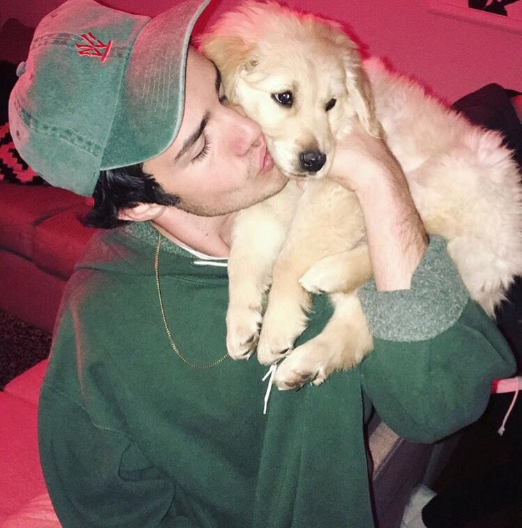 MAGCONUpdates's tweet photo. Aaron Carpenter via Instagram: “Really just been obsessed with dogs lately ...” https://t.co/xTwg9g2Wpr