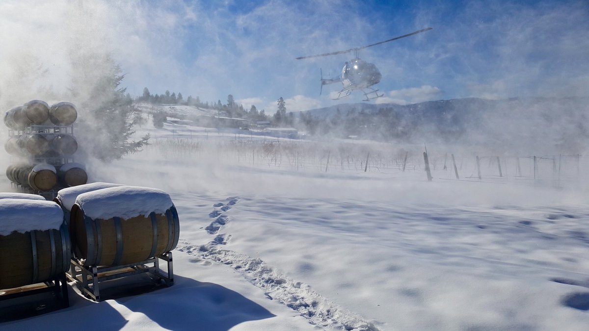 PeakCellars's tweet photo. Yesterday the sunny blue sky and crisp white snow-covered vineyard was the perfect landscape for four very lucky wine touring guests! @ValhallaHeli sure knows how to make an entrance!! 🍷🚁 #bcwine #explorekelowna https://t.co/xWyXIipPFQ