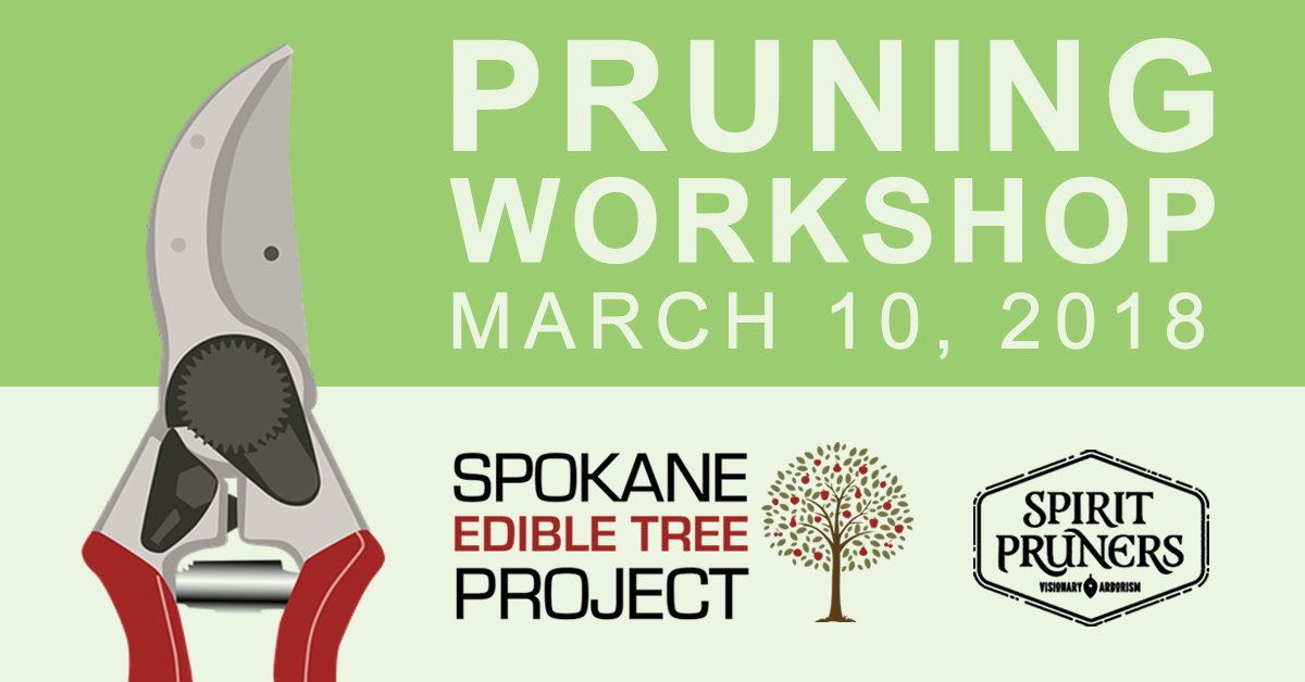 edibletrees's tweet photo. Our #fruittree #pruning workshop with Kelly Chadwick of Spirit Pruners is March 10 at Resurrection Orchard in the #Spokane Valley. Info &amp; registration here: https://t.co/qNUvXKmHiT
#edibletrees #sustainablespokane #locallygrown #inlandnw #fruittrees #fruittreecare #appletrees https://t.co/7DPmlzdJY6
