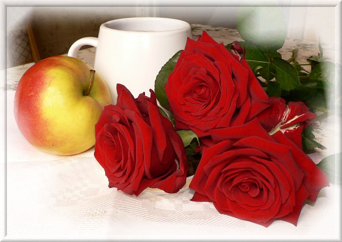 Добрый день картинки с розами. Утренние цветы. Утренние цветы для любимой женщины. Доброе утро розы. С добрым утром розы.