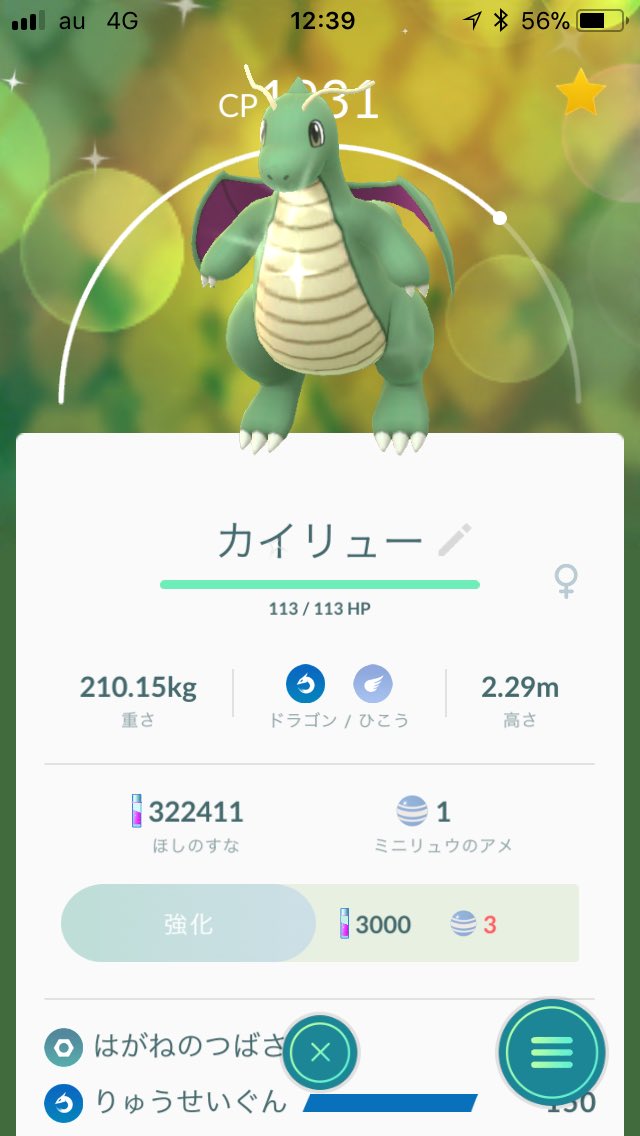 Mark 色違いカイリュー 色違いハクリュー ポケモンgo やったぁ
