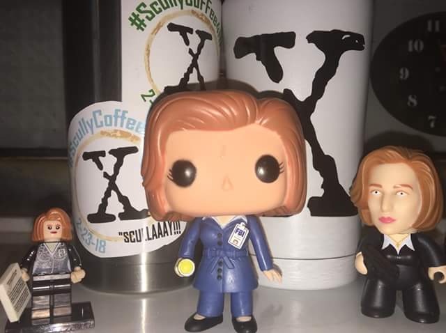 Happy Birthday, Dana Scully!
Celebrate by donating to ! 