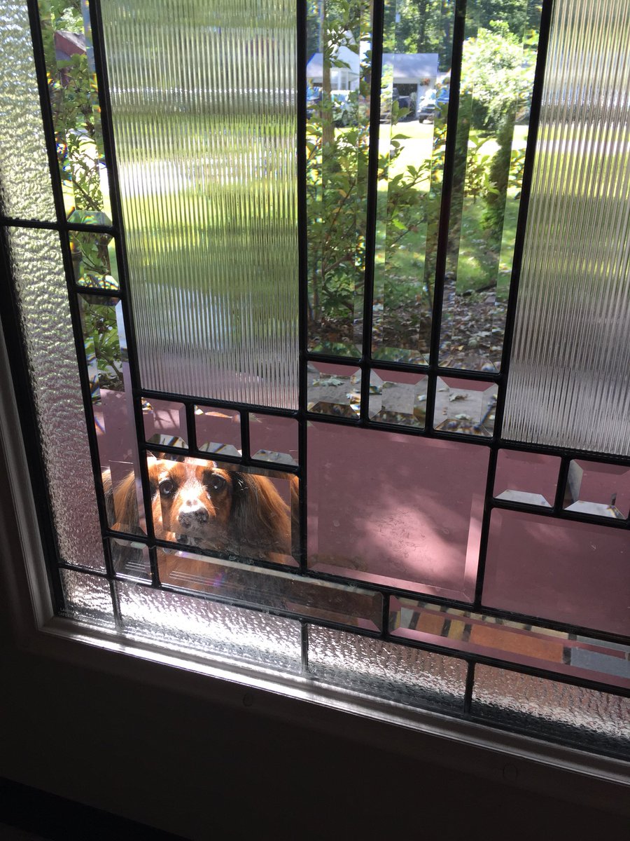 Solano66's tweet photo. “Excuse me...do you have a second to talk about our lord and savior Jesus Christ?” https://t.co/O7jFv0fZGr