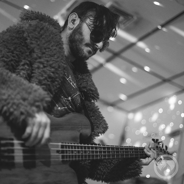 FiretogCo's tweet photo. @voxpopuliopenmic #pimping it!! #fur #furry not... #furryporn 🤔 #firetog #musicianlife #musicians #musicianforlife #firetogtrio #acoustic #acousticguitar #acousticmusic #singersongwriter #furchguitars #stonebridgeguitars #taylorguitars #martinguitar #instamusic #longislan… https://t.co/WX8WkJqbIT