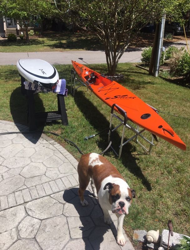 TheMulletMag's tweet photo. Used Stellar SR Advantage Surf ski - Distressed Mullet https://t.co/0N2A3A7UBc $1,900
Virginia Beach, Virginia https://t.co/sN5EpdctQD