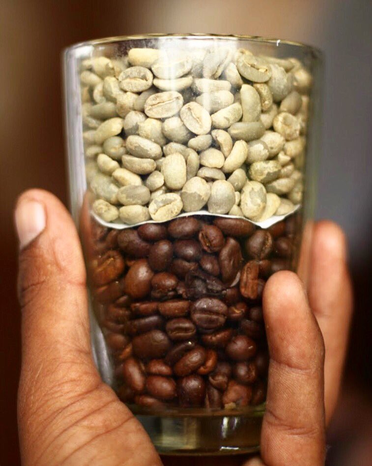 deccancoffee's tweet photo. Quality, Consistency &amp; Relationship is a goal 🥅 
Good coffee helps us achieve it 🙂☕️

#dc #knowyourcoffee #farmer #brewbettercoffee #onlinecoffeestore #coolnews #cooloffer #freshcoffee #singleorigin #freshroast #madeinindia #madewithlove #espresso #moka #coffeelover https://t.co/RpUfrBD5La