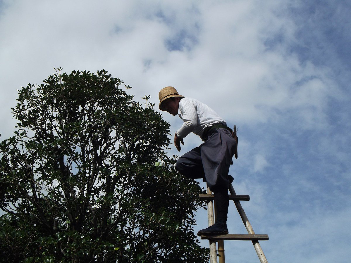 NSWTreeManageme's tweet photo. Impeccable #Tree_Care_Services in #Sydney
Our qualified and trained arborists provide excellent #tree #care #services in Sydney. To get in touch with our expert staff, dial: 1800 679 8733.
Visit now https://t.co/r5OOFZnXqK https://t.co/hCwwSXy2ML