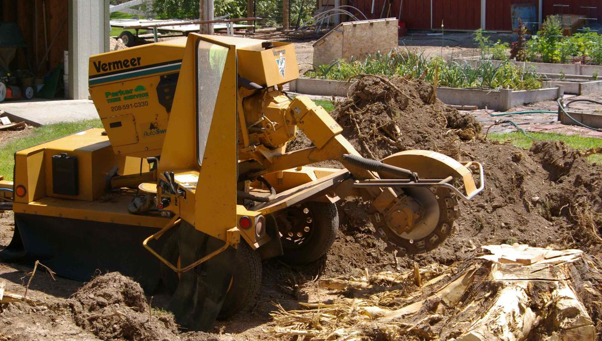 NSWTreeManageme's tweet photo. #Tree and #Stump #Grinding Services in Sydney
When you are in need of professional #tree_stump_grinding_services in #Sydney, @NSWTreeManageme is your ultimate solution. Call us at: 1800 679 8733. https://t.co/57ZHS85EGE