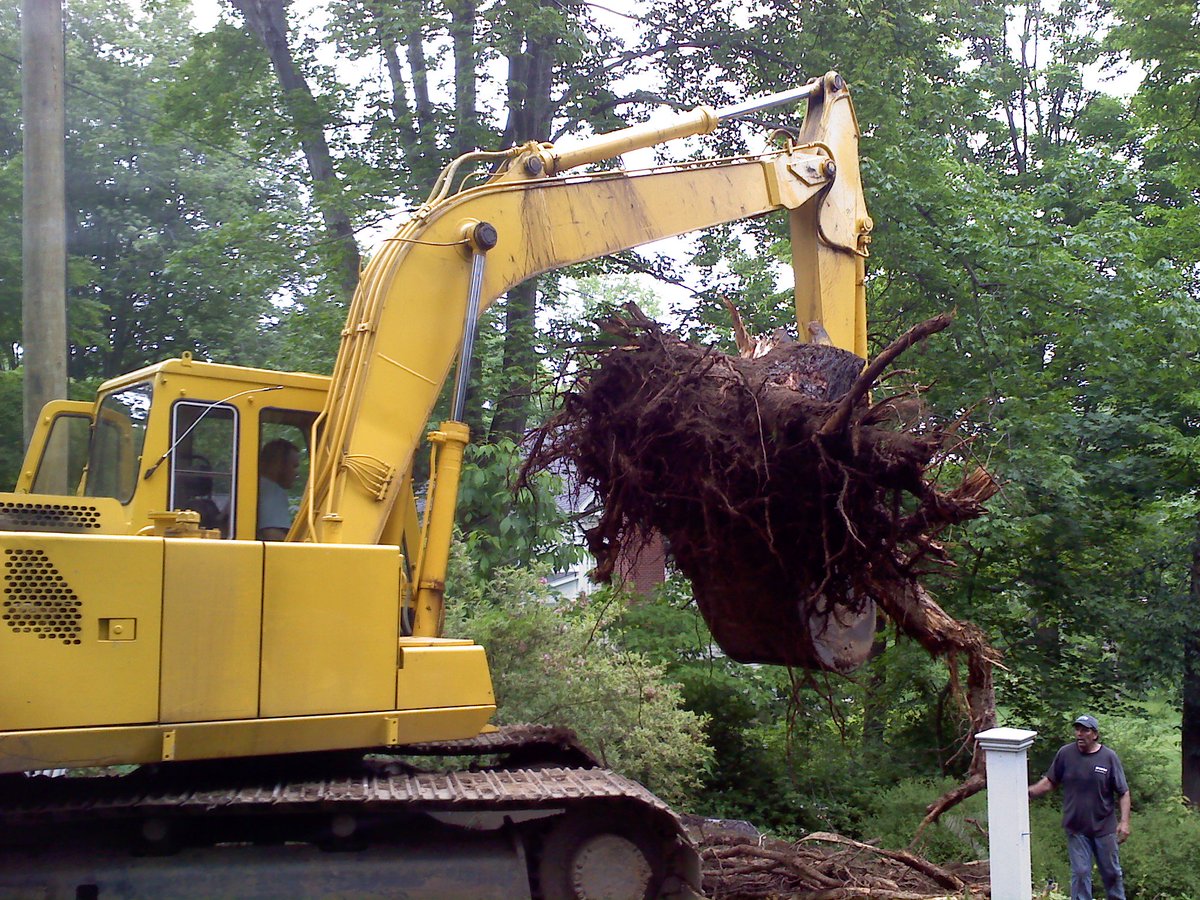 NSWTreeManageme's tweet photo. Hire Us for #Tree #Stump #Removal- NSW Tree Management
NSW Tree Management provides a bespoke #hire_for_tree_stump_removal. We analyse the unique needs of your #tree_stump for effective removal. Dial: 1800 679 8733. https://t.co/H0vvwkHnV8