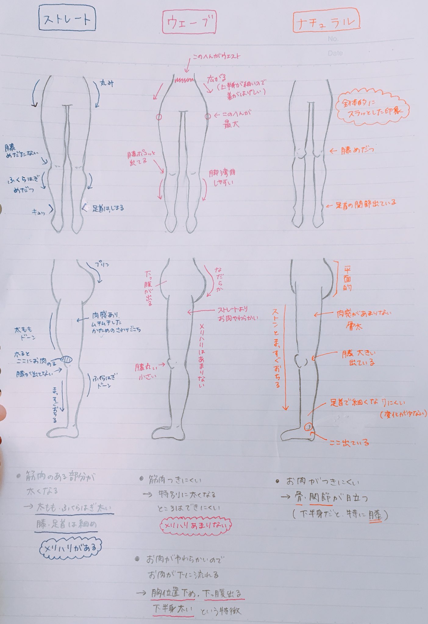 きんぴら على تويتر 骨格別の下半身の違いまとめも作ったので是非参考にしてみてください 骨格ストレート 骨格ウェーブ 骨格ナチュラル きんぴら على تويتر 骨格別の下半身の違いまとめも作ったので是非参考にしてみてください 骨格ストレート 骨格ウェーブ 骨格ナチュラル