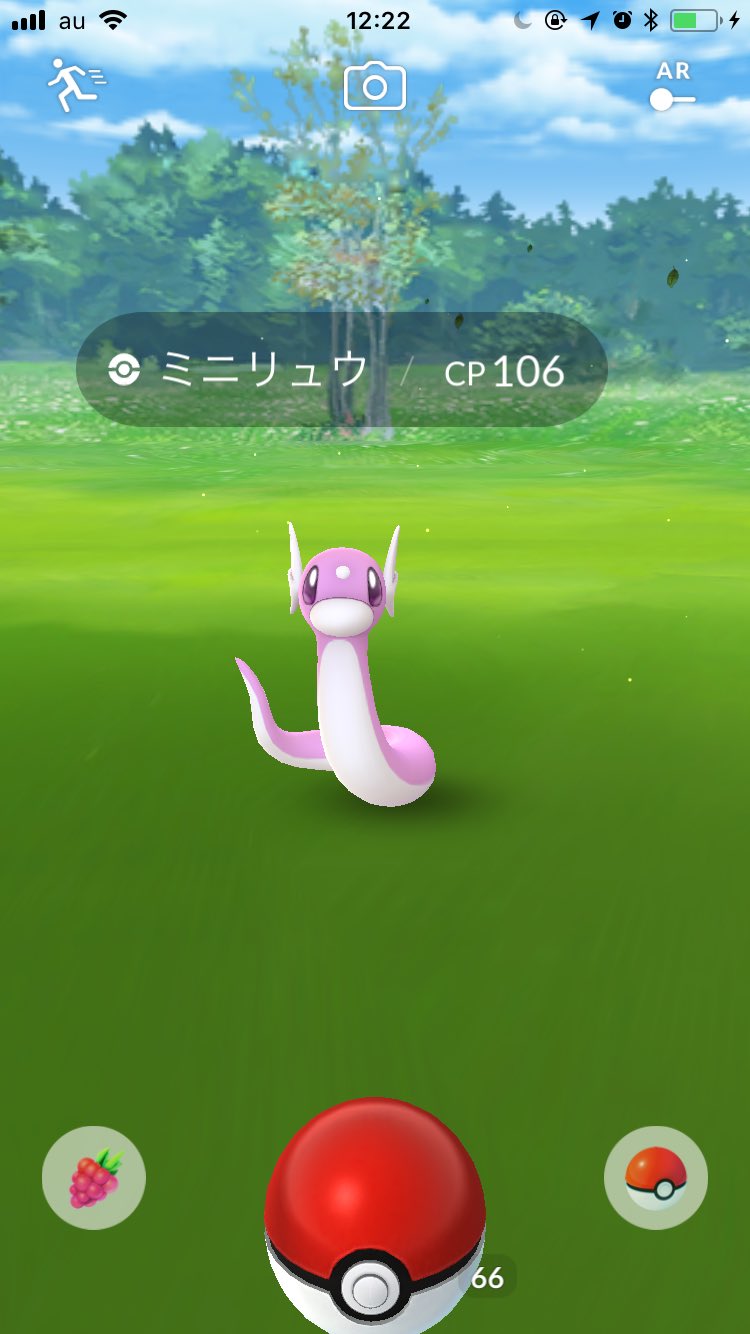 おみう はじまってすぐ ピンクミニリュウでてすご と テンション上がって乱獲したのもつかの間 ポケモントレーナークラブ ログイン障害じゃない ポケモンgo ポケモントレーナークラブ Pokemongocommunityday T Co 3xglwck3iu Twitter