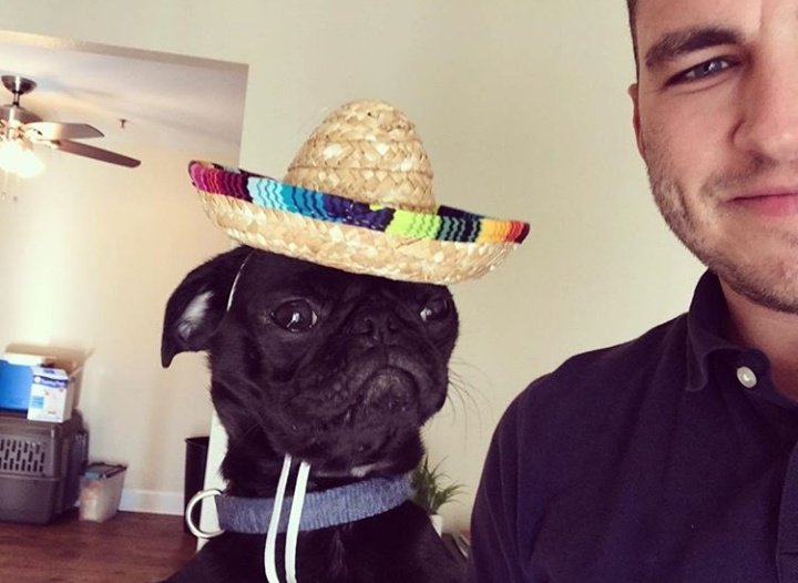 esmithfagan's tweet photo. Everyone #PrayForHank (the pup not the person). He ate a bunch of raisins and now he's really sick. 

Also, this is the one time I'll accept "thoughts and prayers" in lieu of action. https://t.co/QXVFb1YOu1