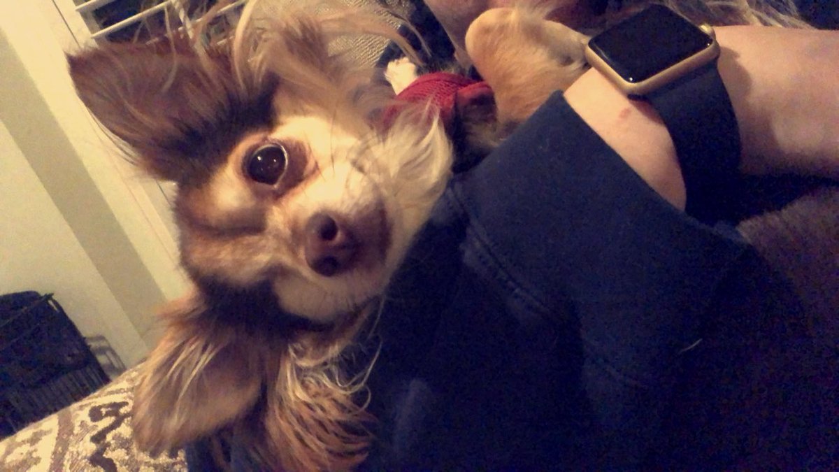 Never knew I could love something so much in my entire life🤩