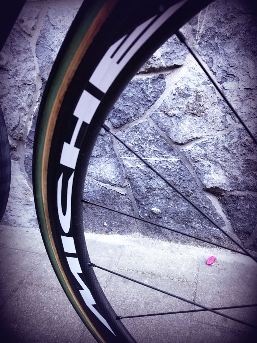 ladies cycling team tweet media