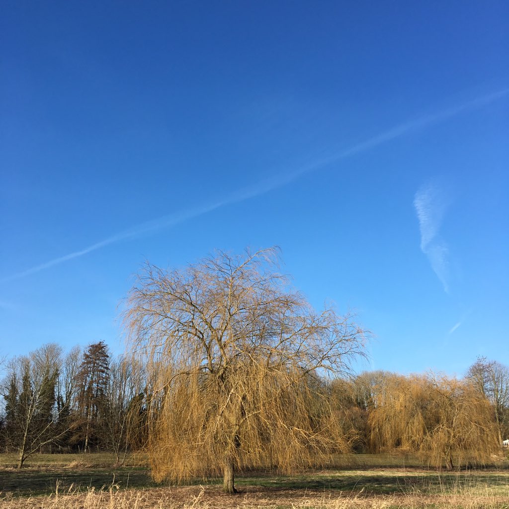 Emma Cook tweet media