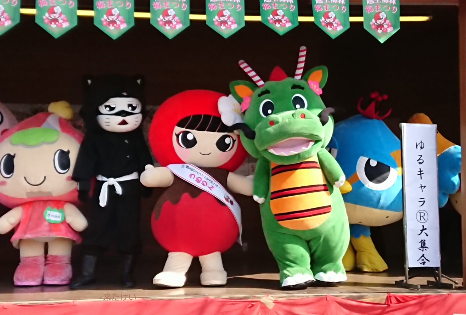 うめりん　ぬいぐるみ　（大）　越生町　マスコットキャラクター　ご当地キャラ うめりんぬいぐるみ（大） | ゆる玉屋【埼玉県内のご当地