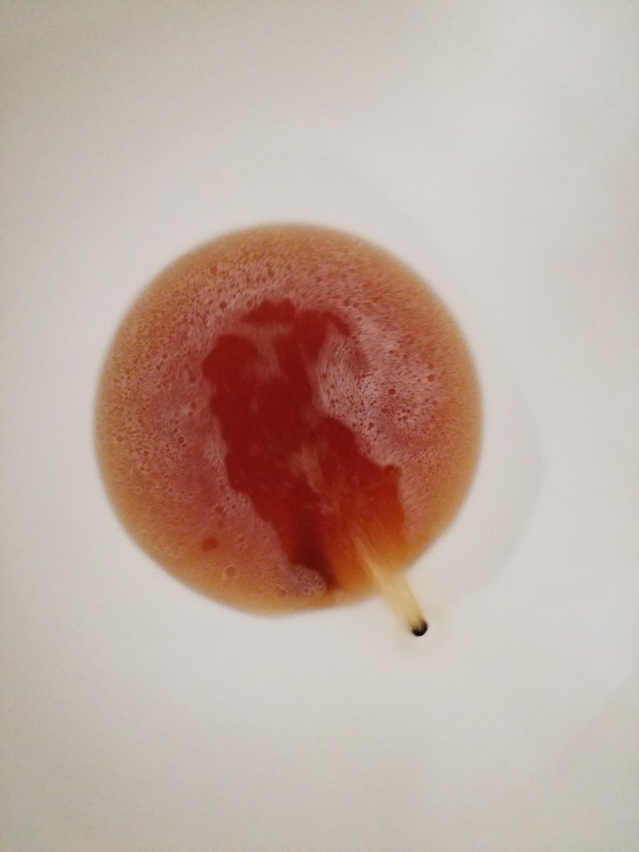 Grenache Blanc two ways skinferment vs fermentegg #natural #grenacheblanc <a href="/BreedeMakers/">Breedekloof Makers</a> <a href="/cabowines/">Cabo Esperança Wines</a> <a href="/hdn/">HdN</a> #breedekloof