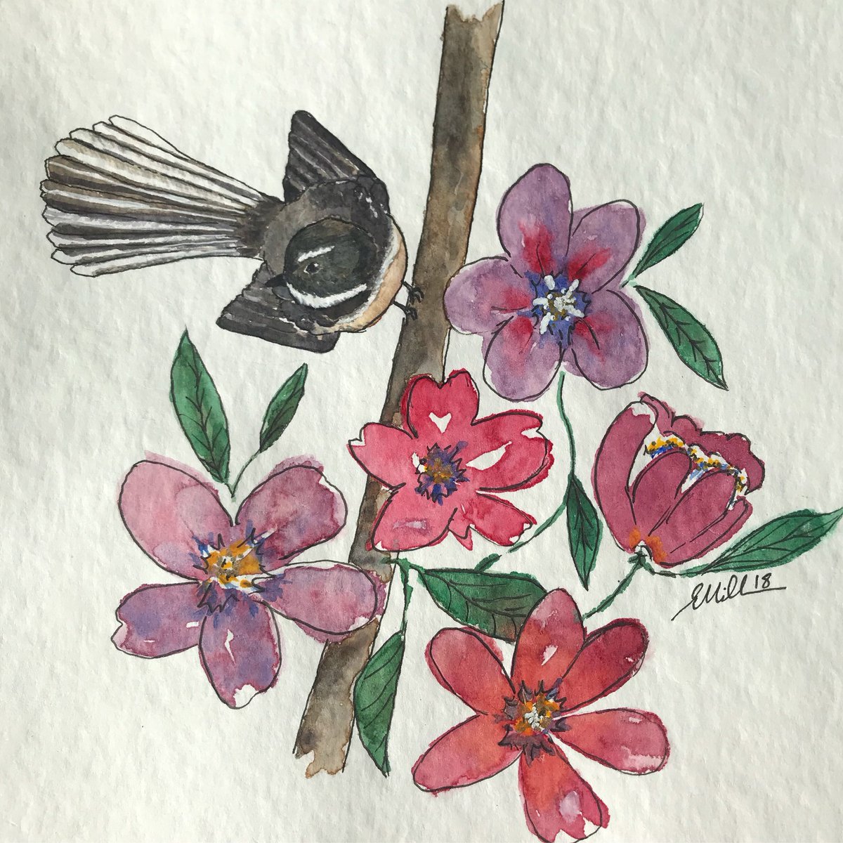 Fantail amongst the flowers 
#watercolor #fantail #greyfantail #flowers #floralart #birdart #birdsofaustralia #tasmania #tasmanianmade #tasmanianartist #watercolour #watercolorart #artistcommunity #natureart #gardenart #gardenlife #naturepainting #selftaughtartist