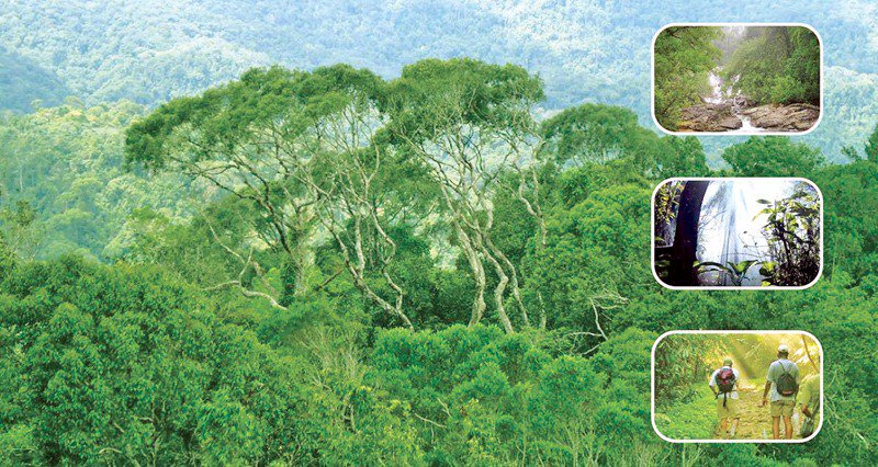 DhanrajNathwani's tweet image. #GoI notifies #draftrules of #Compensatory #Afforestation Act: The remaining 20% of the net present value will be utilised for strengthening the #forest &amp;amp; #wildlife-related #infrastructure, capacity building of personnel of state #forestdepartments and other #agencies!