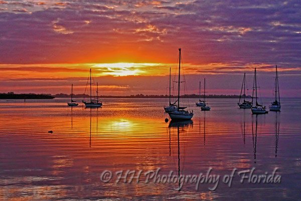 Enjoy a colorful, tropical sunrise on your home or office wall ... #sunrise #tropicalsunrise #colorfulsunrise #HHPhotographyofFlorida fineartamerica.com/featured/begin…