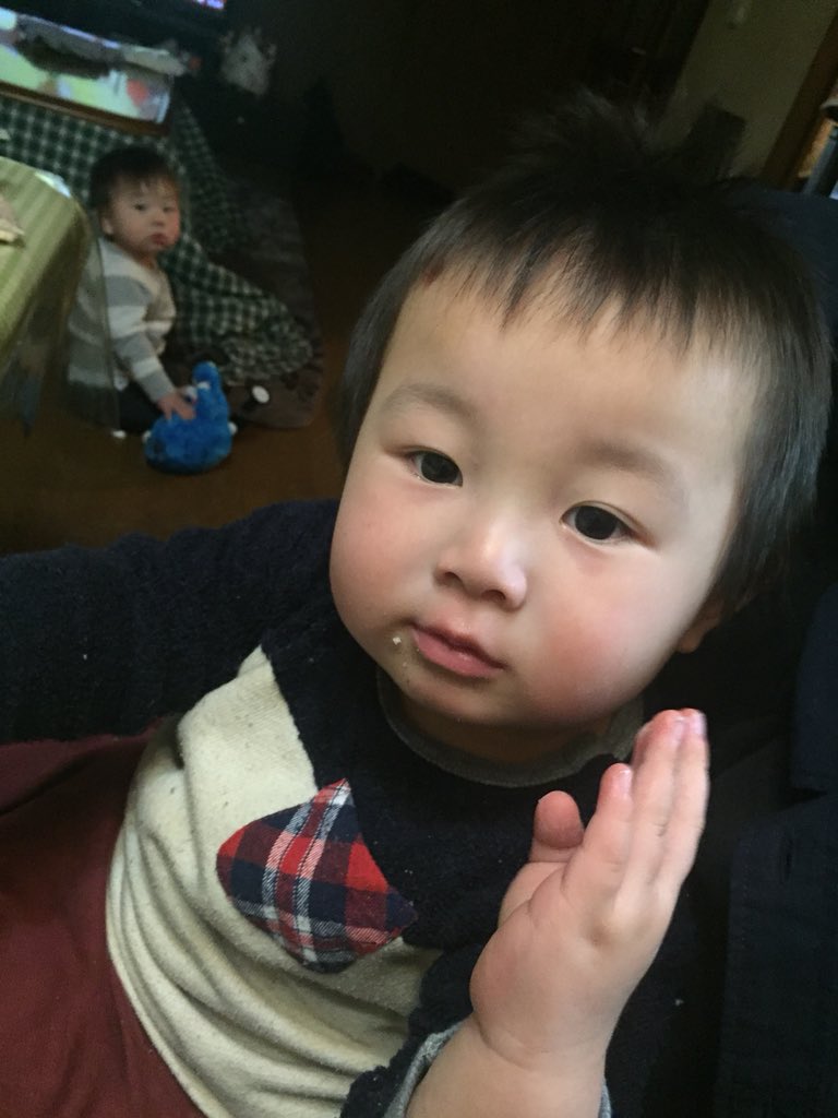 クラゲ tweet media