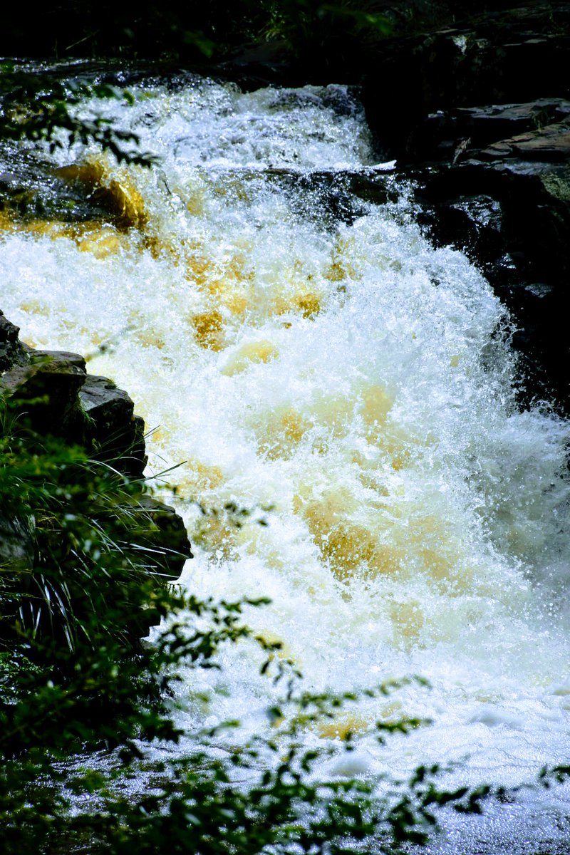 'water falling' #gardnersfalls #sunshinecoasthinterland #groundingenergy