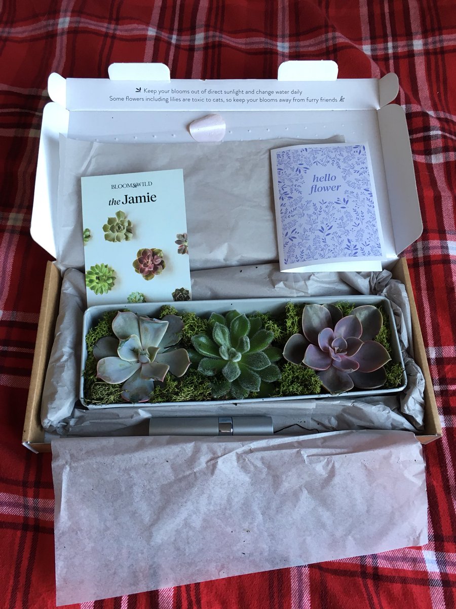 MummaBfit's tweet photo. Gorgeous surprise received through the post today sent by a dear friend using @BloomandWild #letterboxflowers #friendship #love #flowers https://t.co/kKSdTe5qpv