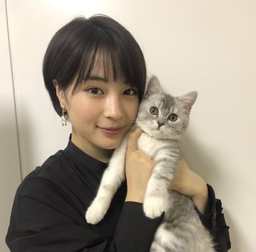 猫が好きな芸能人で今もっとも旬な10人を一挙ご紹介 ねこちゃんホンポ