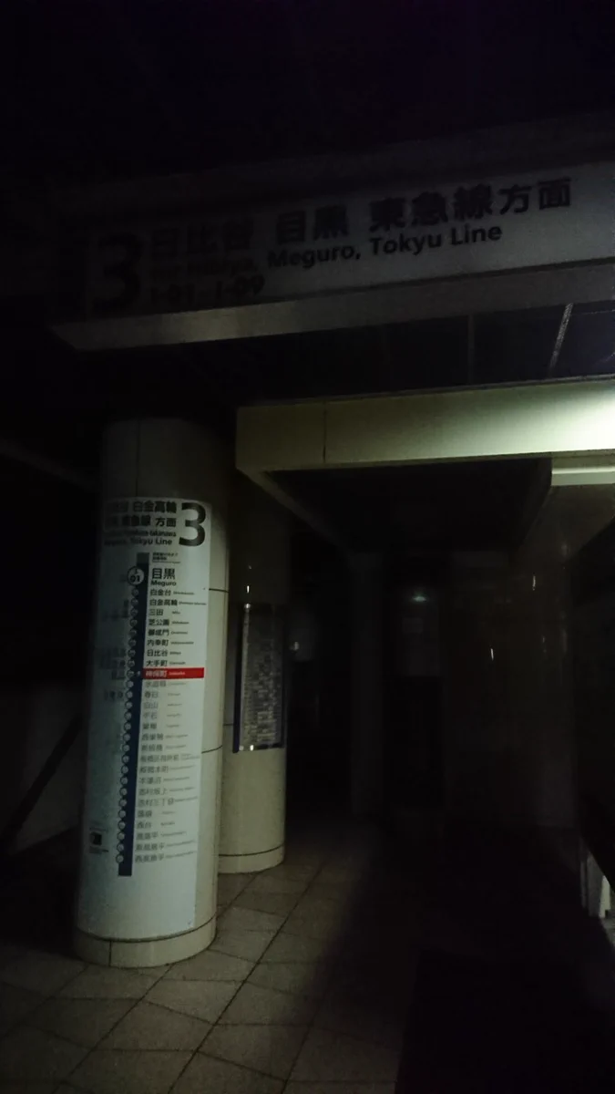 停電で真っ暗な都営三田線神保町駅ホームｗなんか地上と隔離されてる映画みたいｗ