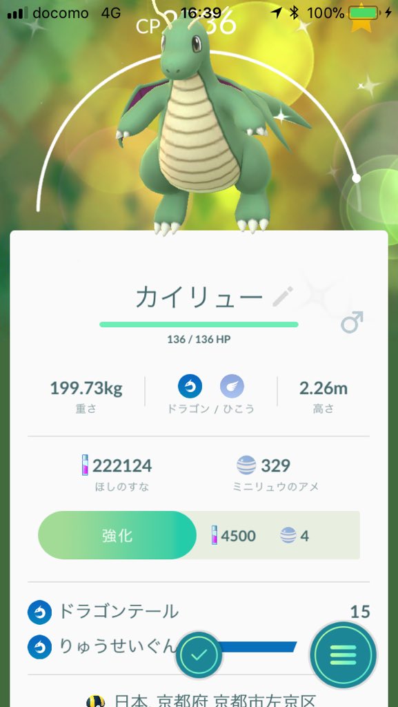 ピンクのミニリュウ