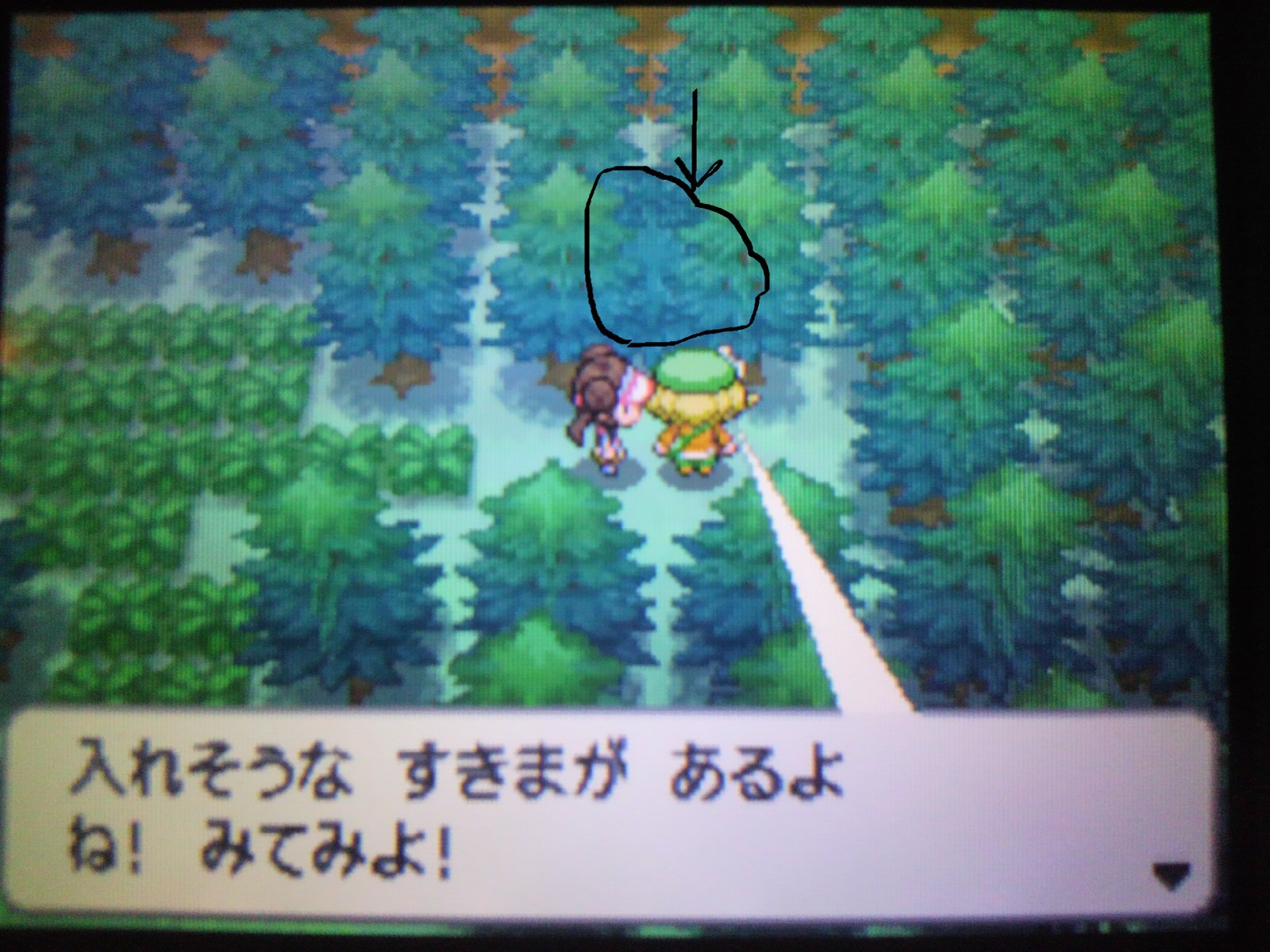 アマナツ マイペースなギンガ団員 時々ポケモントレーナー ハンター 島民代表 Bw2固有要素 隠し穴 5番道路でのベルとのイベントで 隠し穴 という要素が紹介される この隠し穴非常に分かりにくいところにあるので結構見落としやすい 中に入ると