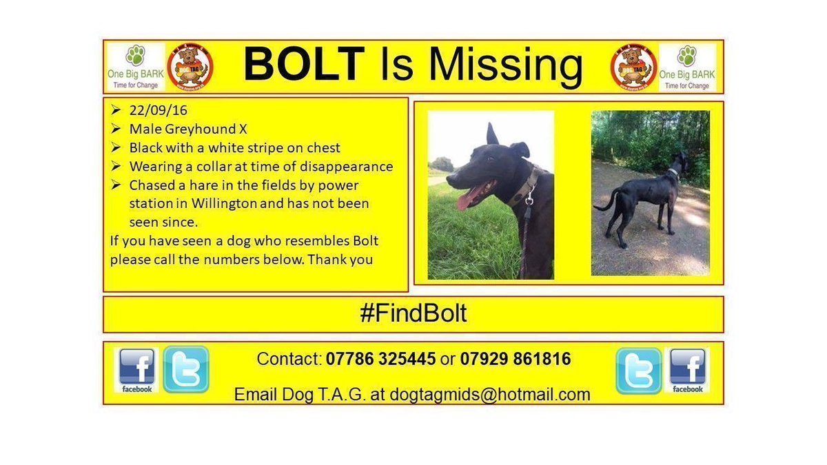 DogTAGMids's tweet photo. π’π’π’ #FindBolt missing #greyhound lost in #Derby Plse help find Bolt. TYVM π https://t.co/0aKPp2srqQ