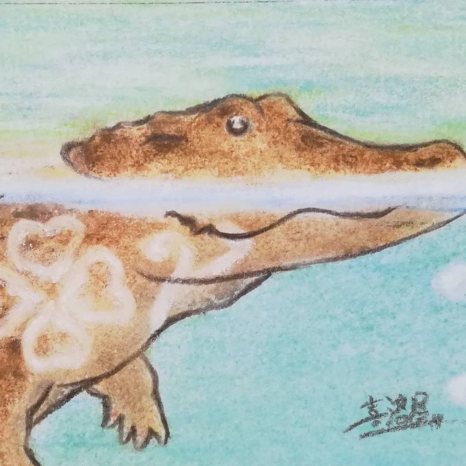 イリエワニのtwitterイラスト検索結果 古い順 イリエワニのtwitterイラスト検索結果 古い順