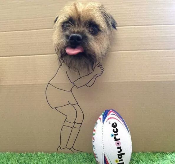 The Welsh are on the move and headed up north tomorrow for the national plate semi-finals. Let's show some love for the ladies. Like, follow and RT and comment. facebook.com/events/1874918…