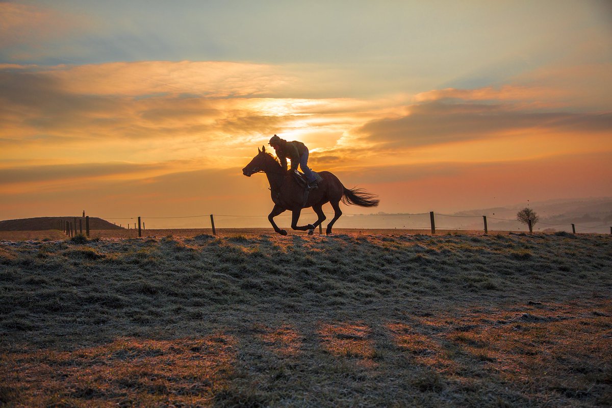 NigelTwistonDav's tweet image. The New One, with Wayne Jones on the gallops on this chilly frosty morning...
