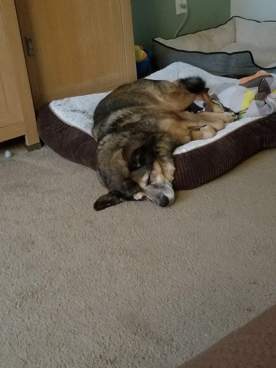 KinmanAmanda's tweet photo. @chasinglyons @HamiltonMusical My girl is 14 also..and her parts a wearing too. Makes me so sad. https://t.co/KKuCxQ6Wqj