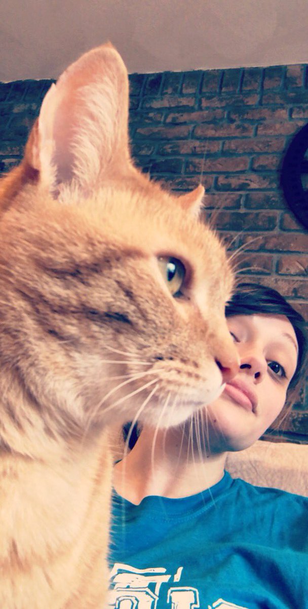 ciaracable's tweet photo. Send help I have so much stuff I need to do but instead I’m just taking selfies with my cat https://t.co/EpmBi8QA86