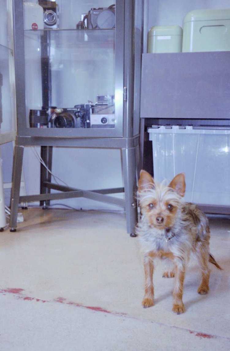 AcmeCameraCo's tweet image. Hello beautiful people ✨ We’re open today from 8:30-2PM. See you soon! #AcmeCameraCo.