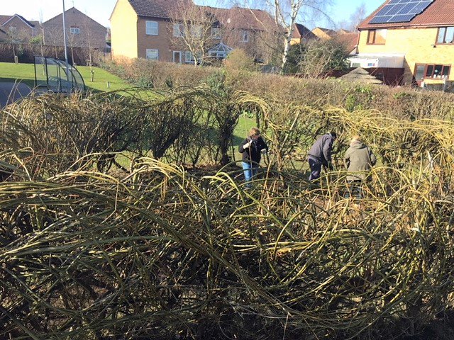 Outwoods Edge P.S tweet media