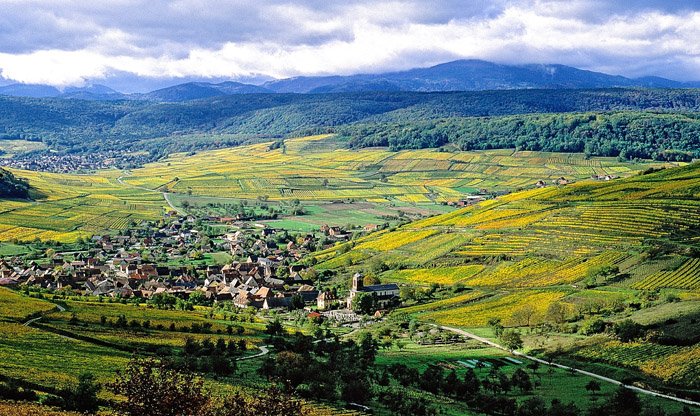Study Alsace with the Alsace Master-Level Certificate Program winescholarguild.org.convey.pro/l/9nXRAx0 #alsace #france #wine #frenchwinescholar by #CraigCamp via @c0nvey