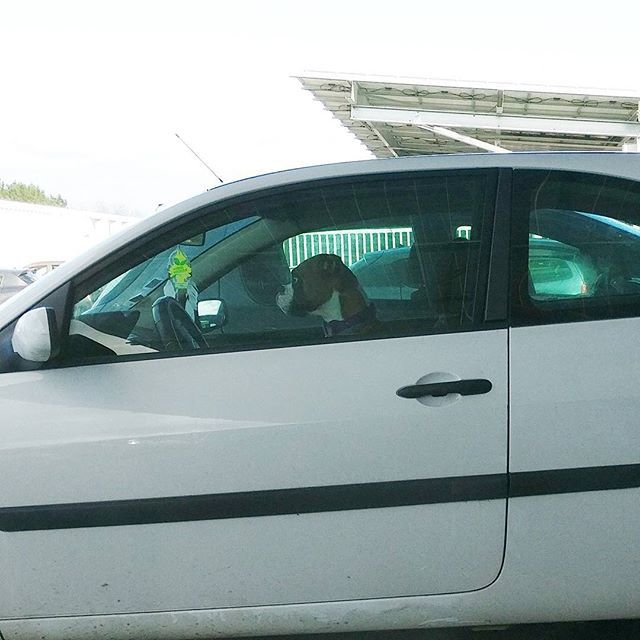 Alex Orden Lanchas tweet media