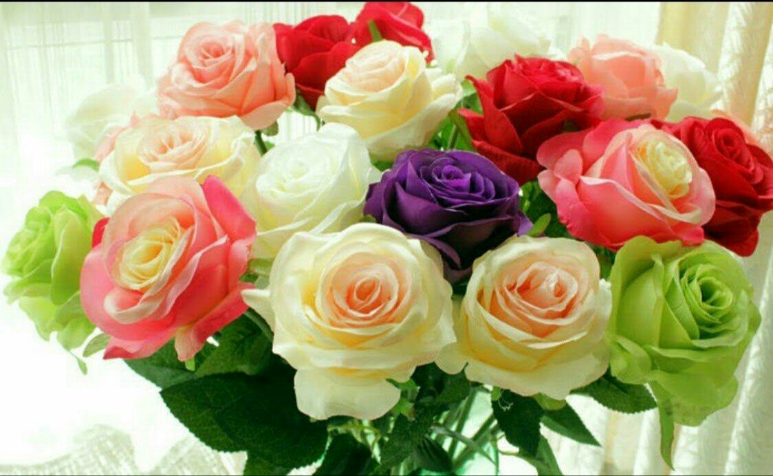 ZEYNEB MELİSSA tweet media