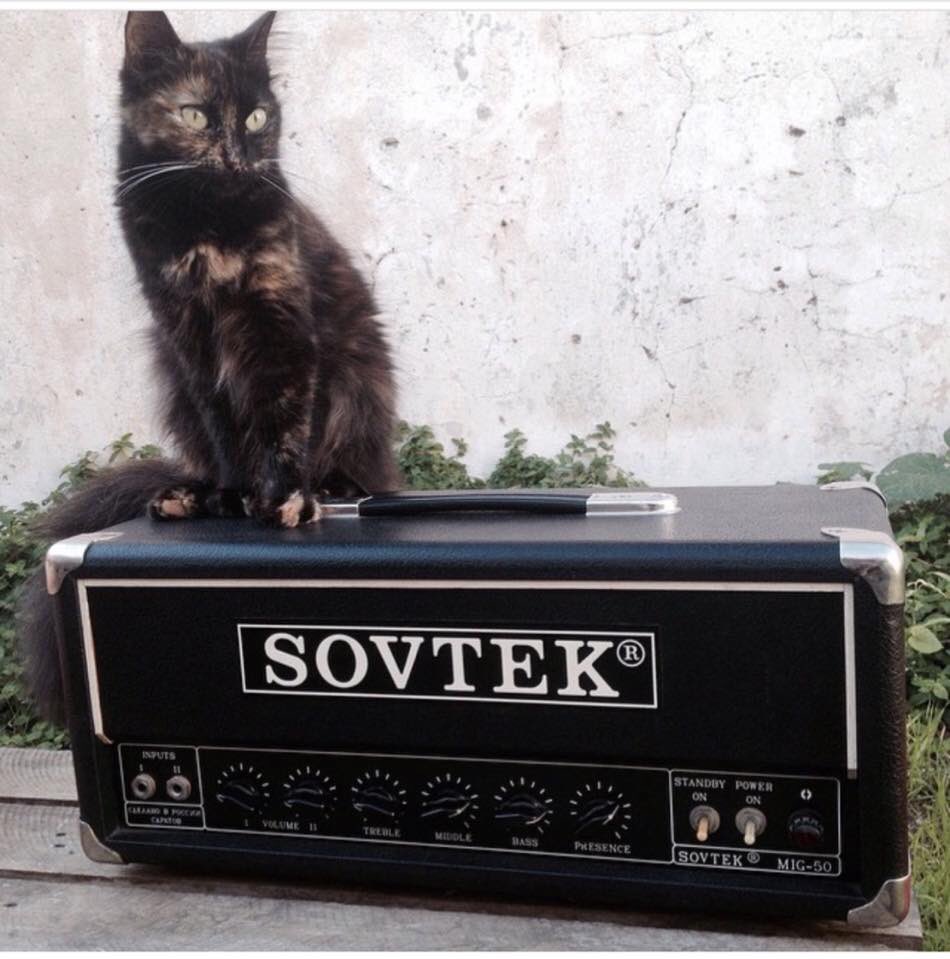 catsonamps's tweet image. @lvdvenia @sovtekamplifiers #sovtek #sovtekamps #kitty #cats #amps #tubes #caturday #catsonamps