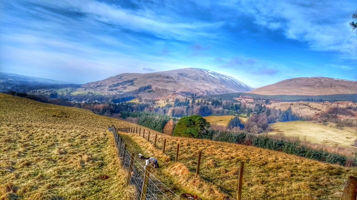onefoto1's tweet photo. This morning in #clackmannanshire.
#landscapephotography #onefoto https://t.co/dlUhVEqTMA